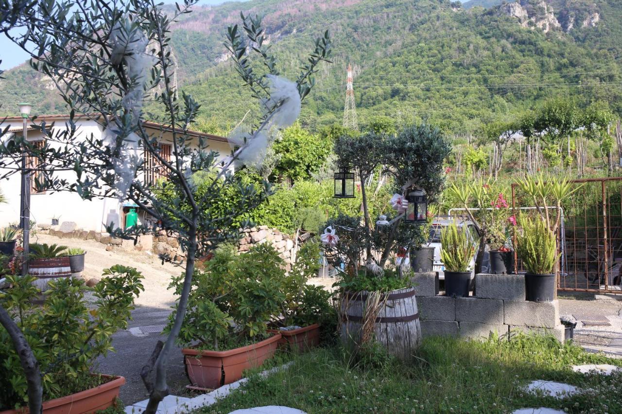 Annabella'S Country House SantʼAntonio Abate Exterior foto